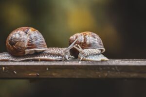 証券口座をおすすめしない理由とは？